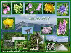 Rax 2 2017